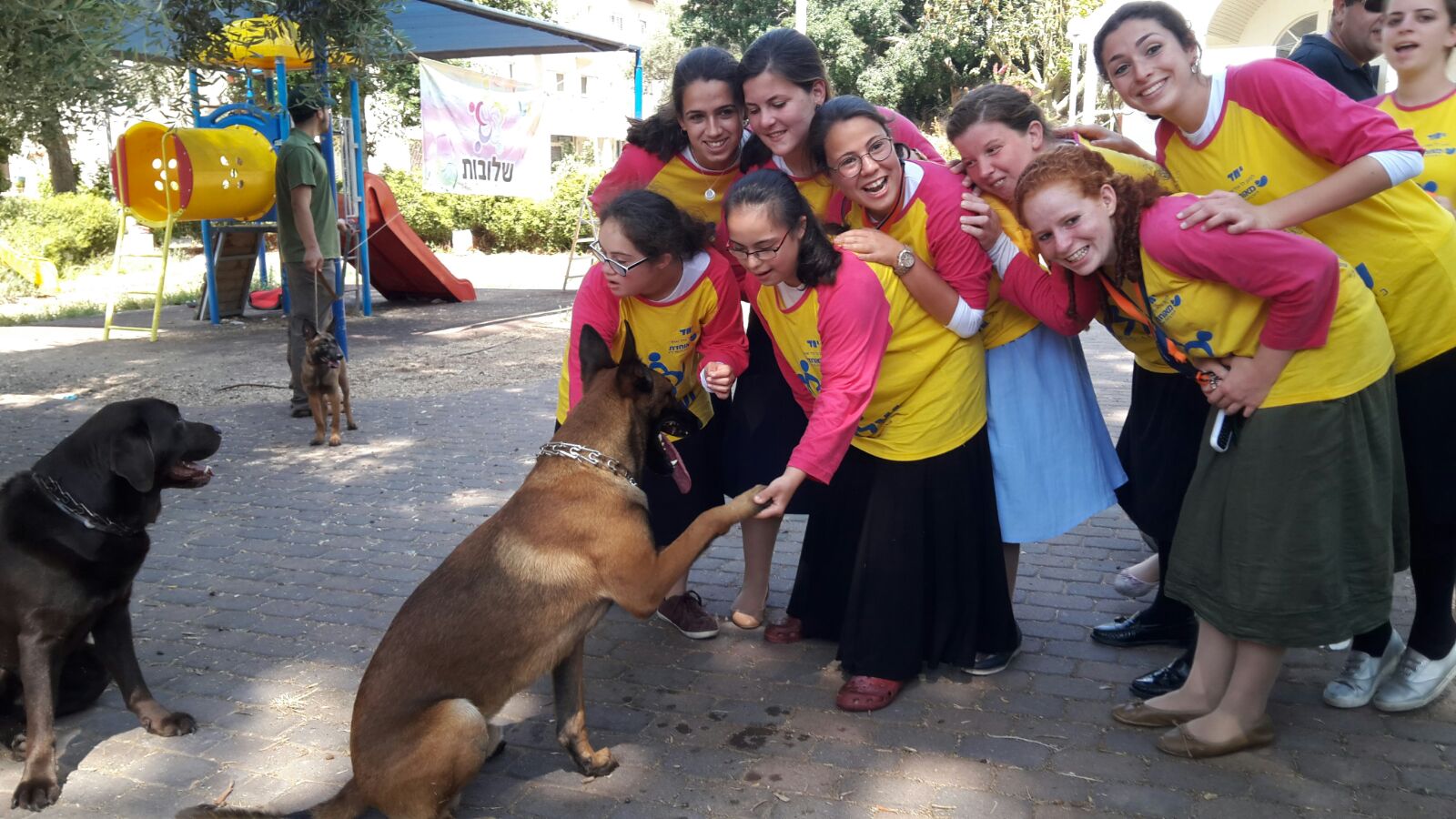 yachad picture of volonteers and campers with dogs